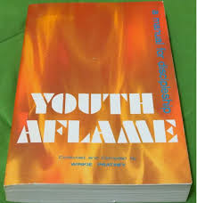 Cover of Youth Aflame - a Manual for Discipleship